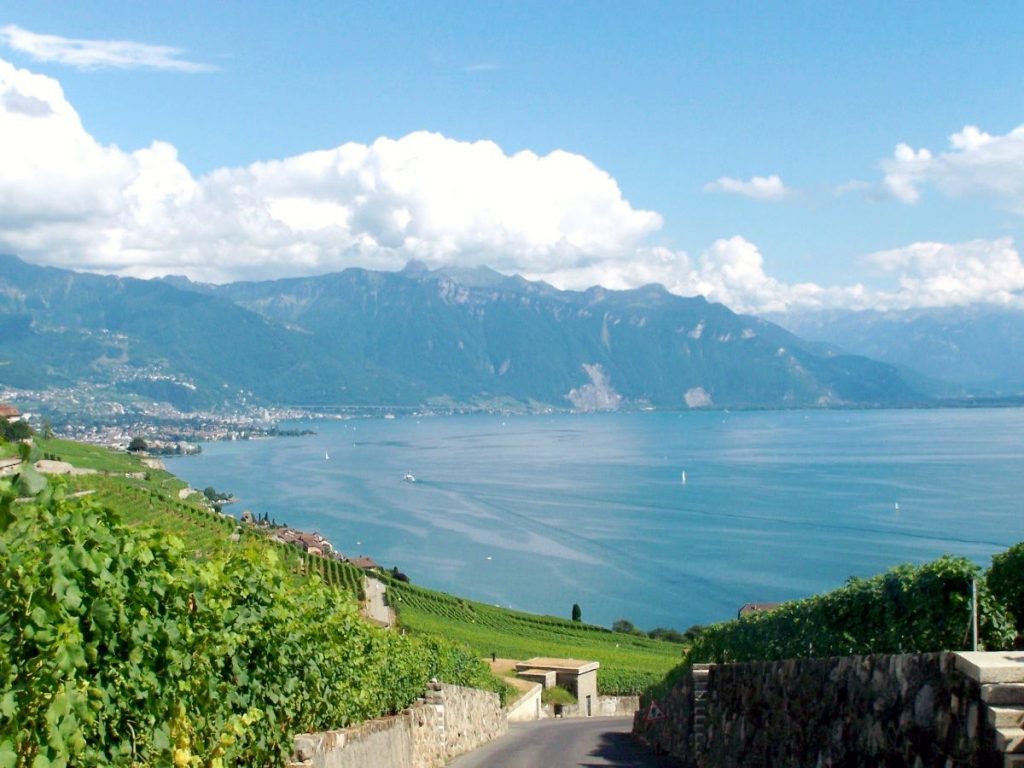 Wine Trail in Vaud, Switzerland